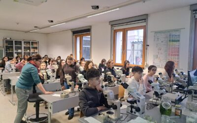 Faszinierendes Mikroskopieren am Botanischen Institut